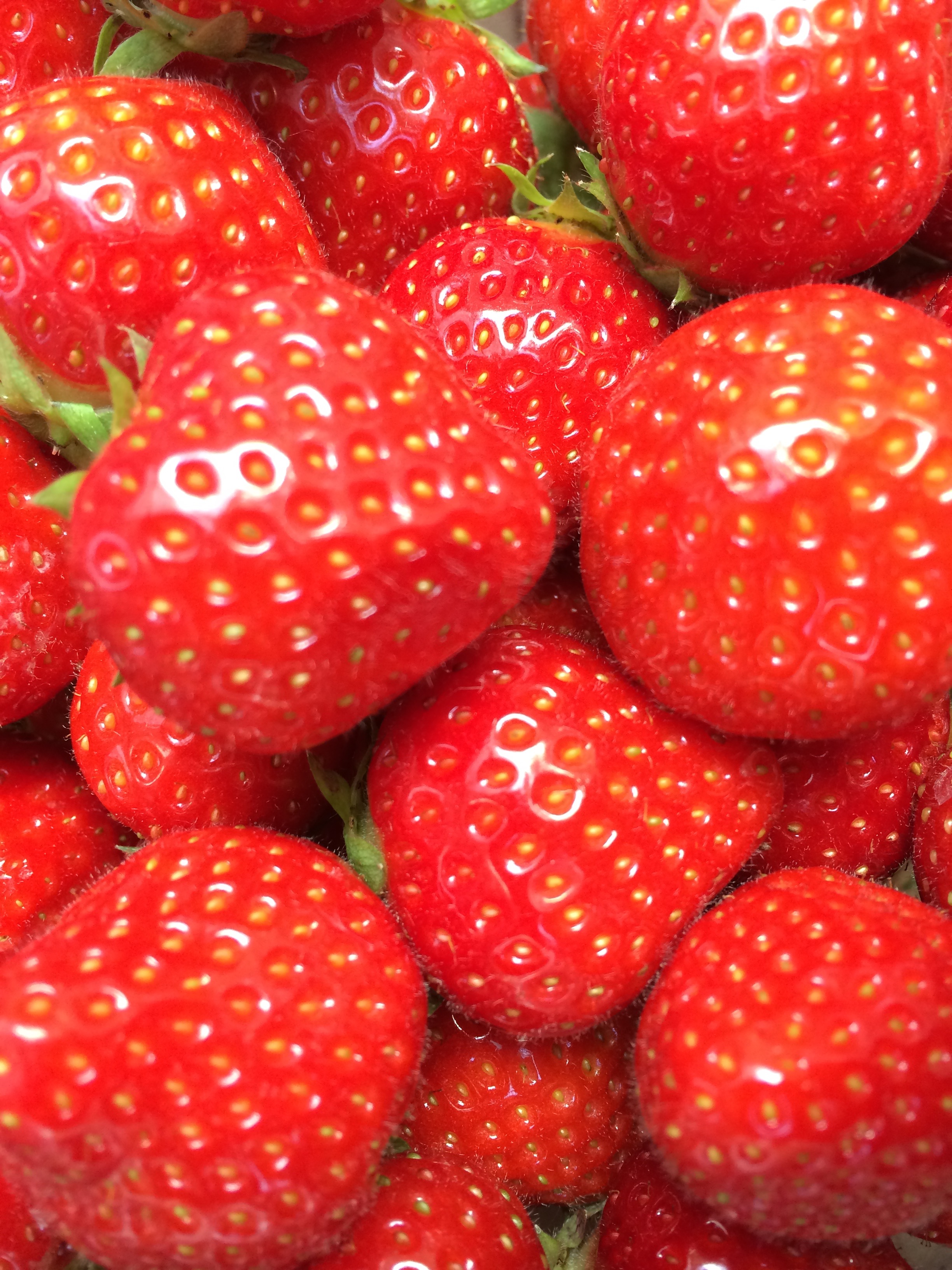 Fruit